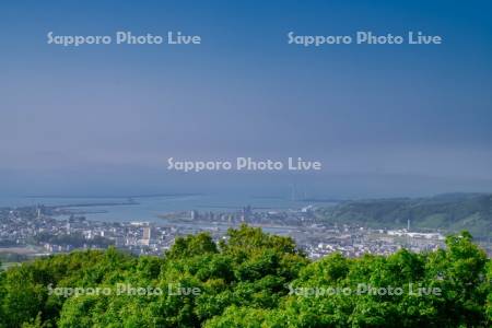 千望台より市街展望