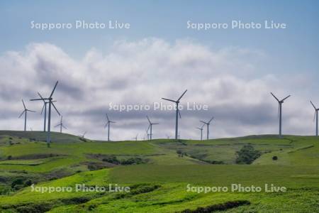 宗谷丘陵と風力発電