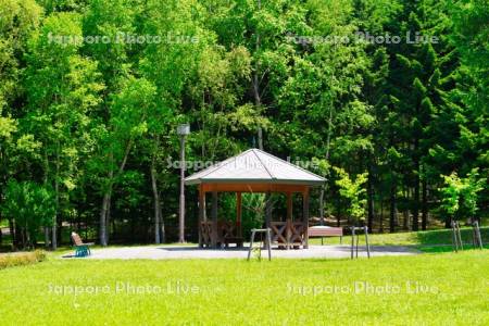 函館市　市民の森