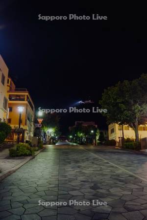 八幡坂と函館山