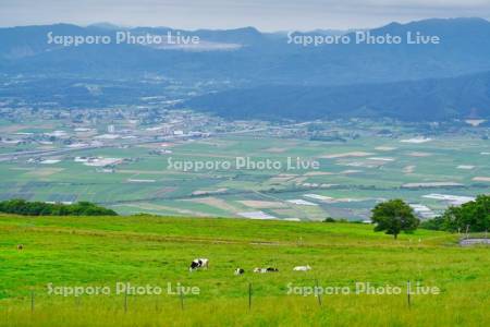 城岱牧場展望台