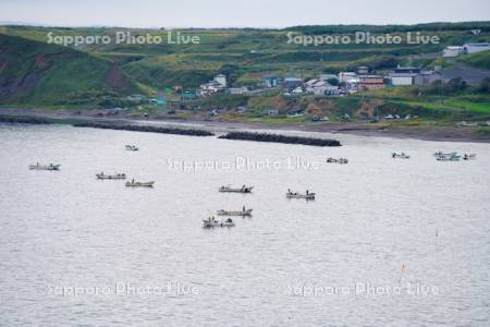 コンブ漁船と濤沸港