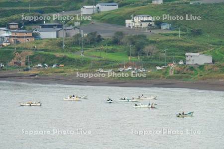 コンブ漁船と漁村