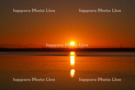 ウトナイ湖の日の出