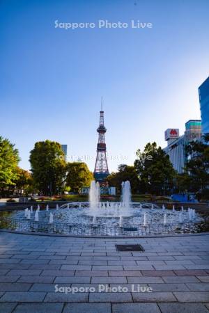 朝の大通公園とテレビ塔