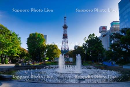 朝の大通公園とテレビ塔