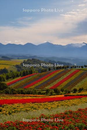 四季彩の丘と十勝岳連峰