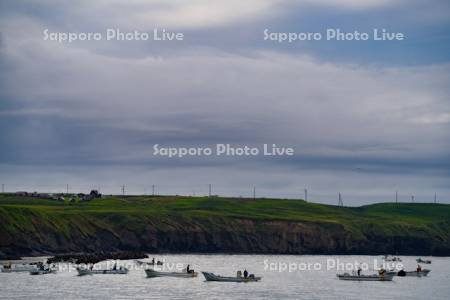 コンブ漁と霧多布岬キャンプ場