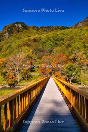 層雲峡園地の橋