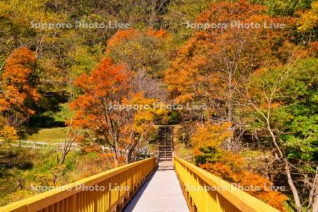 層雲峡園地の橋
