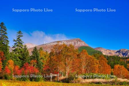 十勝岳温泉郷の紅葉