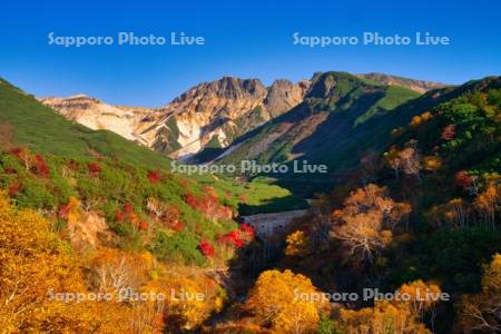 十勝岳温泉郷の紅葉