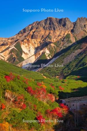 十勝岳温泉郷の紅葉