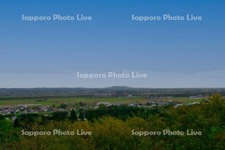 円山展望台より市街展望