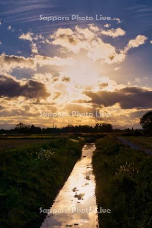 幌向運河の夕景