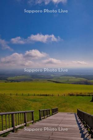 ナイタイ高原牧場