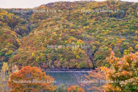 オタルナイ湖の紅葉