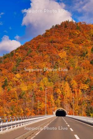 四ツ峰トンネル