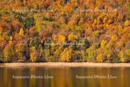 さっぽろ湖の紅葉