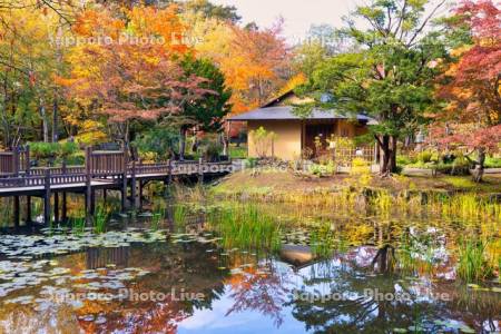 玉泉館跡地公園　心字池