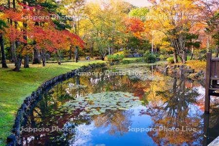 玉泉館跡地公園　心字池