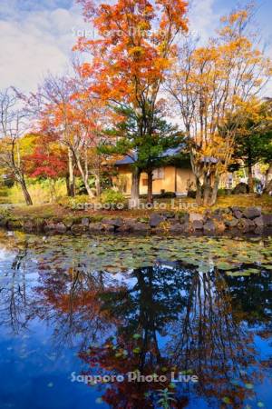 玉泉館跡地公園　心字池