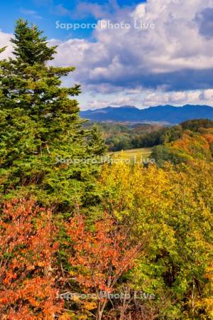 達布山展望台より
