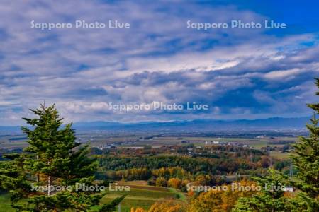 達布山展望台より田園