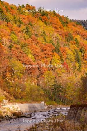 天人峡と忠別川