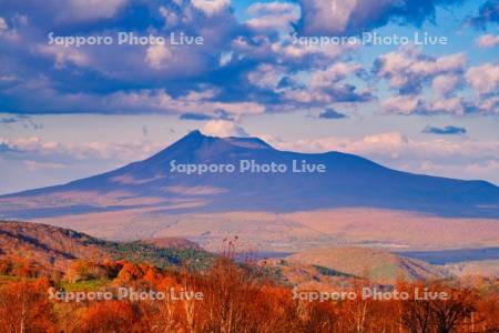 きじひき高原より駒ヶ岳