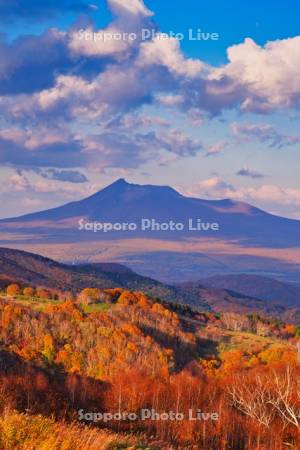きじひき高原より駒ヶ岳