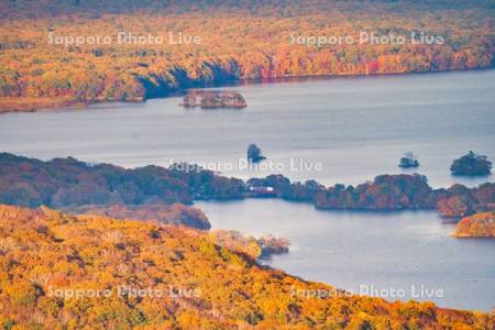 きじひき高原より小沼大沼