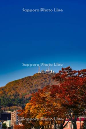 函館山の紅葉
