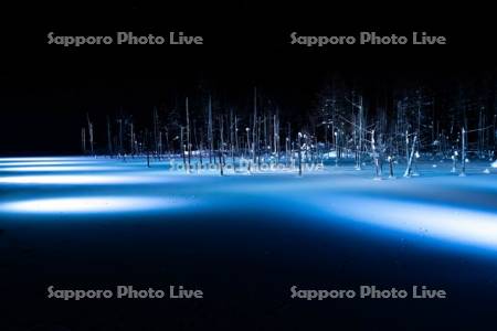 青い池　ライトアップ