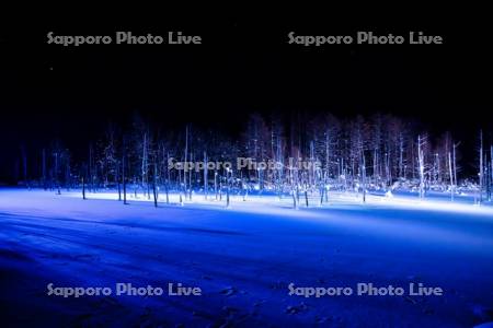 青い池　ライトアップ