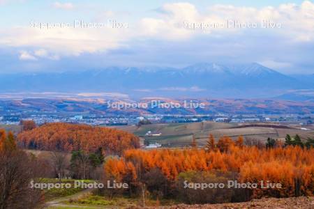 千望峠より十勝岳連峰