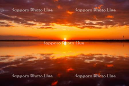 ウトナイ湖の日の出