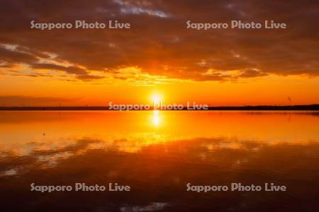 ウトナイ湖の日の出