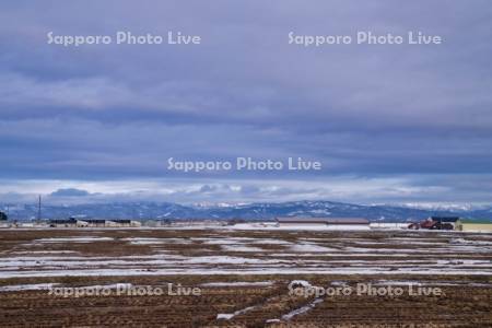 雪解けの田んぼ