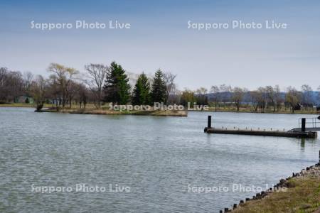 鶴沼公園