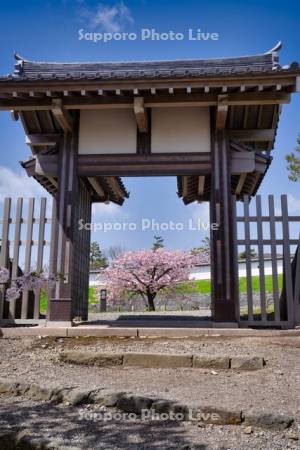 門と桜