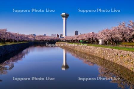 五稜郭公園　五稜郭タワー