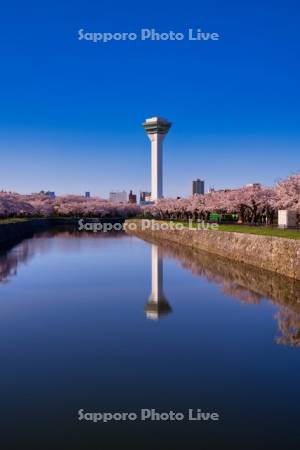 五稜郭公園　五稜郭タワー