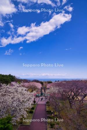 オニウシ公園と噴火湾