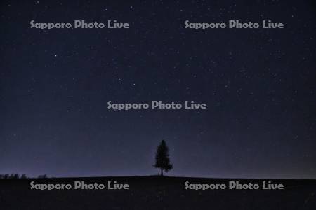 夕日の木と星空