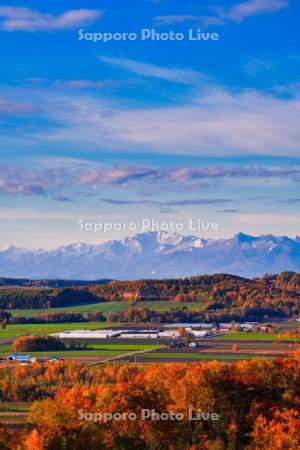 丘の紅葉と大雪山