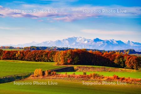 丘の紅葉と大雪山