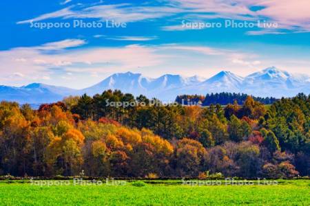 紅葉と十勝岳連峰