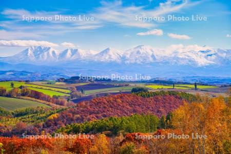 紅葉の丘と十勝岳連峰