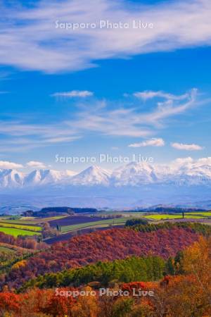 紅葉の丘と十勝岳連峰